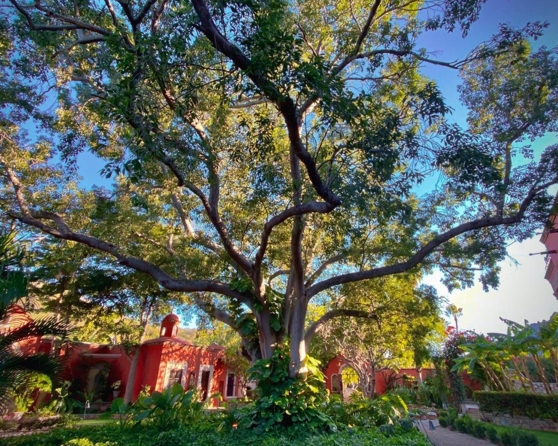 Hacienda De Los Santos Álamos エクステリア 写真