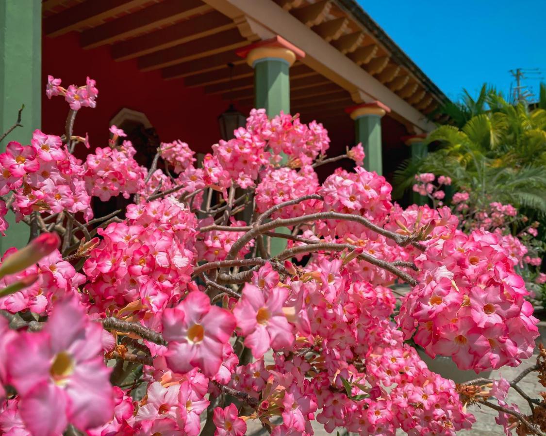 Hacienda De Los Santos Álamos エクステリア 写真